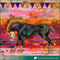 Horse Color:Black 