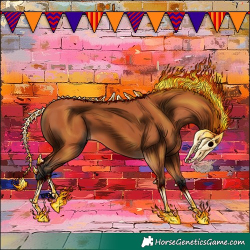 Horse Color:Bay 