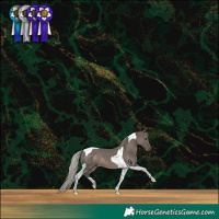 Horse Color:Silver Black Tobiano