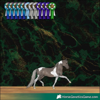 Horse Color:Silver Black Tobiano