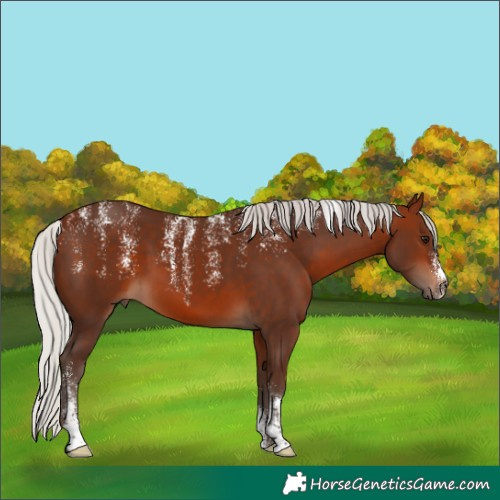 Horse Color:Powder White Silver Bay