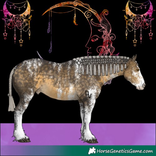 Horse Color:Powder White White Spotted Silver Buckskin 