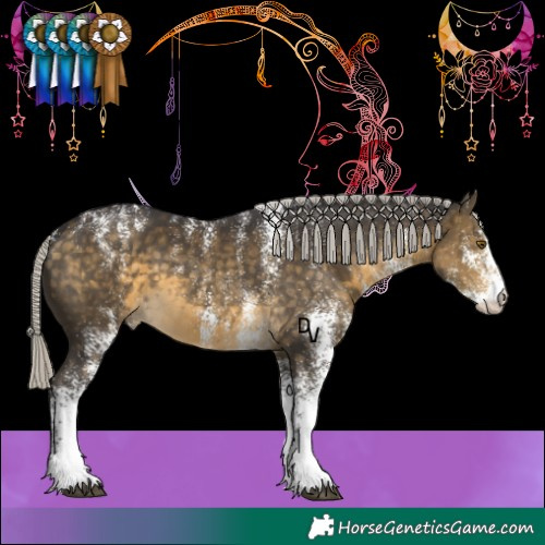 Horse Color:Powder White White Spotted Silver Buckskin 