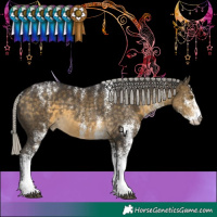 Horse Color:Powder White White Spotted Silver Buckskin