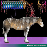 Horse Color:Powder White White Spotted Silver Buckskin 