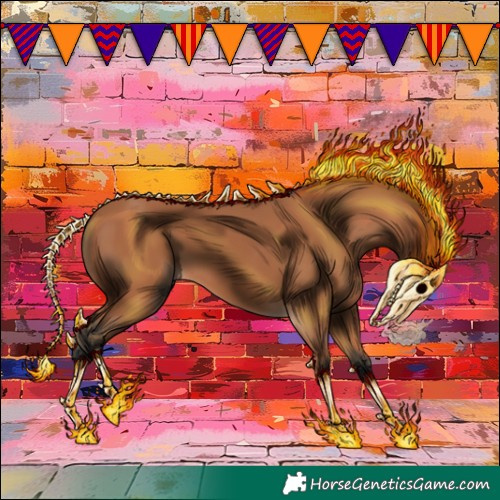 Horse Color:Bay 