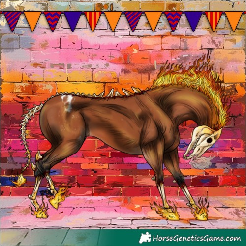 Horse Color:Bay Appaloosa