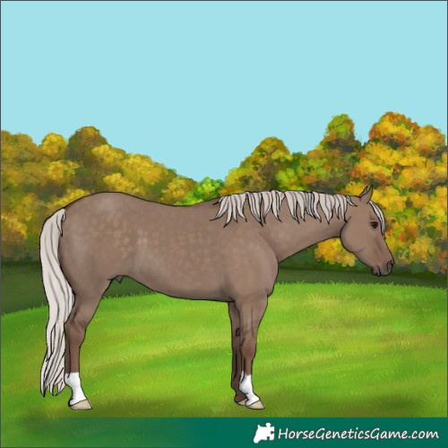 Horse Color:Silver Grullo