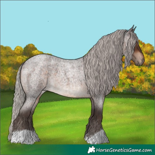 Horse Color:Silver Brown Roan 