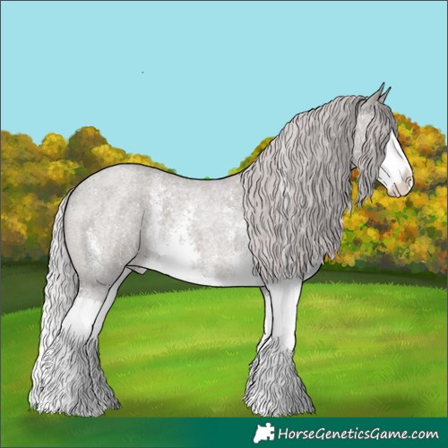 Horse Color:Platinum Silver Grullo Roan Sabino Splash 