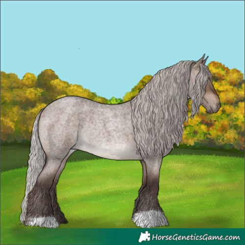 Horse Color:Silver Brown Roan Dun Rabicano 