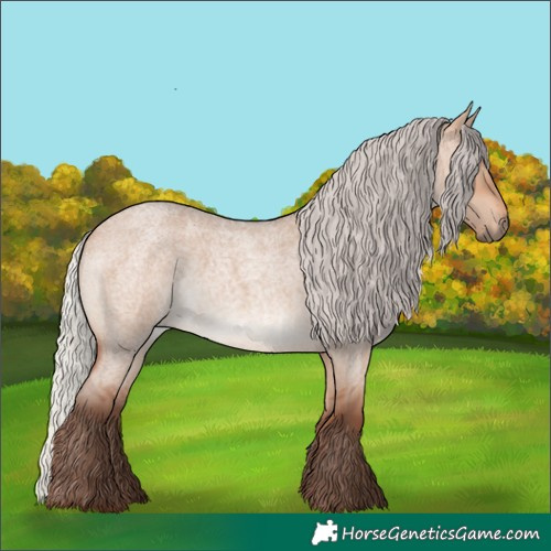 Horse Color:Silver Bay Roan Dun