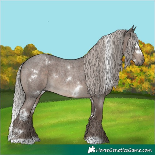 Horse Color:White Spotted Silver Blue Roan