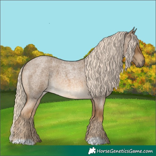 Horse Color:Chocolate Palomino Roan