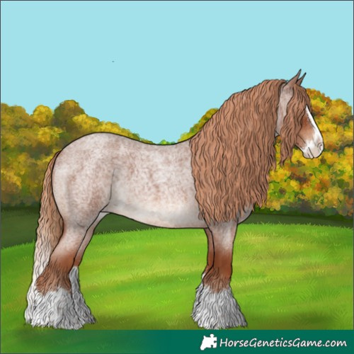 Horse Color:Red Roan Splash 