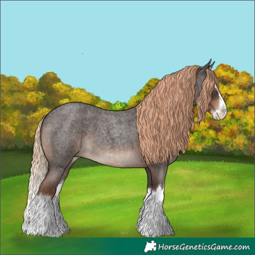Horse Color:Liver Red Roan Splash 