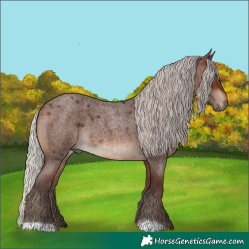 Horse Color:Silver Brown Roan 