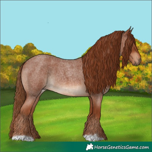Horse Color:Red Roan