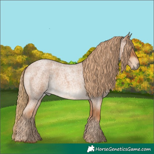 Horse Color:Red Roan