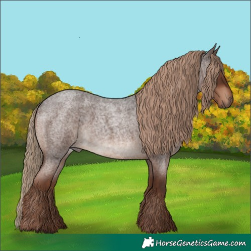 Horse Color:Liver Red Roan 