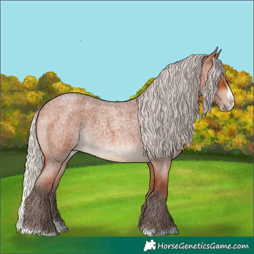Horse Color:Silver Bay Roan Splash 