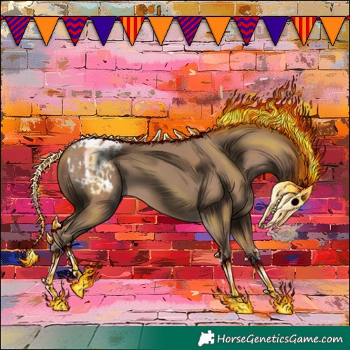 Horse Color:Classic Champagne Appaloosa