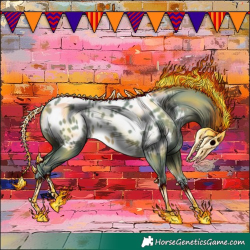 Horse Color:Watercolor Sable Champagne Appaloosa