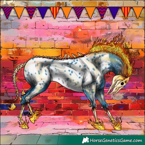 Horse Color:Watercolor Brown Appaloosa