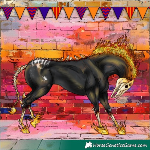 Horse Color:Black Appaloosa 
