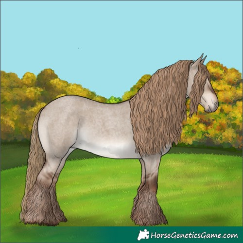 Horse Color:Liver Red Dun Roan Rabicano 