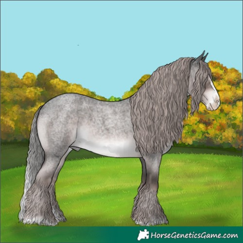 Horse Color:Platinum Liver Red Roan Splash Rabicano 