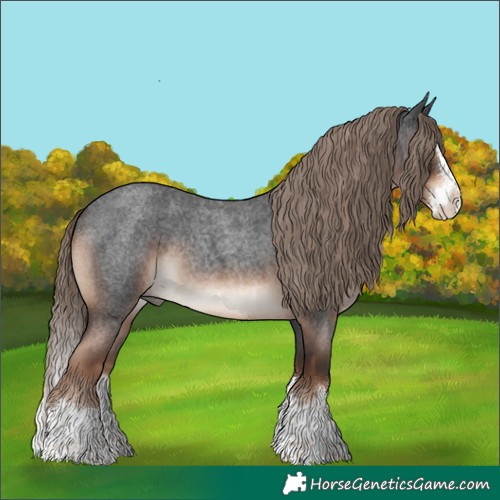 Horse Color:Liver Red Roan Splash Rabicano 