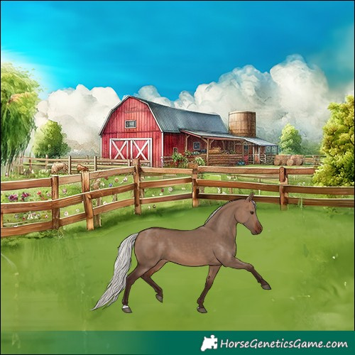 Horse Color:Silver Brown Dun