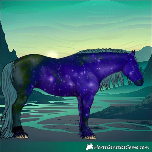 Horse Color:ERROR: UNKNOWN ANOMALY