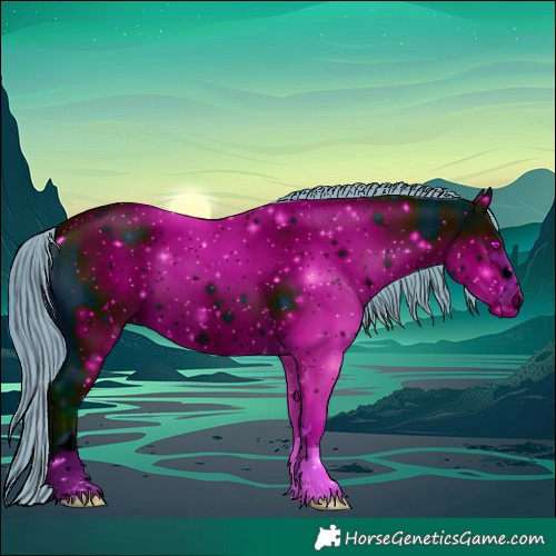 Horse Color:ERROR: UNKNOWN ANOMALY