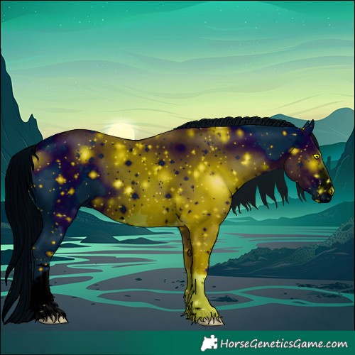 Horse Color:ERROR: UNKNOWN ANOMALY