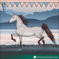 Horse Color:Chocolate Bay Chinchilla