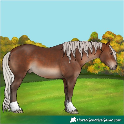 Horse Color:Silver Brown 