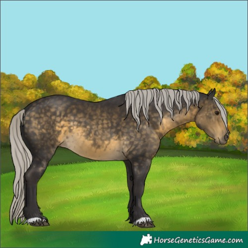 Horse Color:Silver Buckskin 