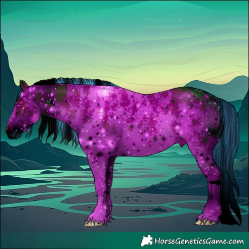 Horse Color:ERROR: UNKNOWN ANOMALY