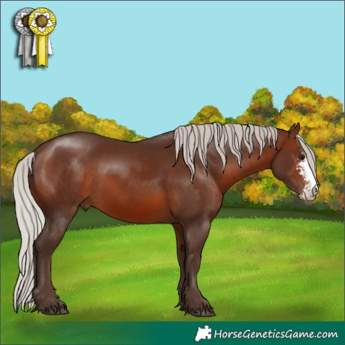 Horse Color:Silver Brown Sabino