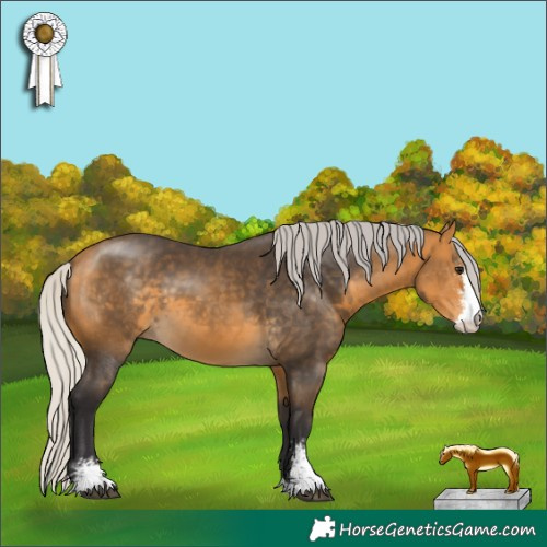 Horse Color:Silver Buckskin Sabino 