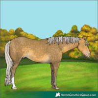 Horse Color:Silver Sable Cream Champagne 