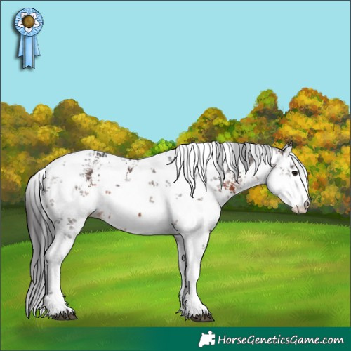 Horse Color:White Spotted Brown Sabino 