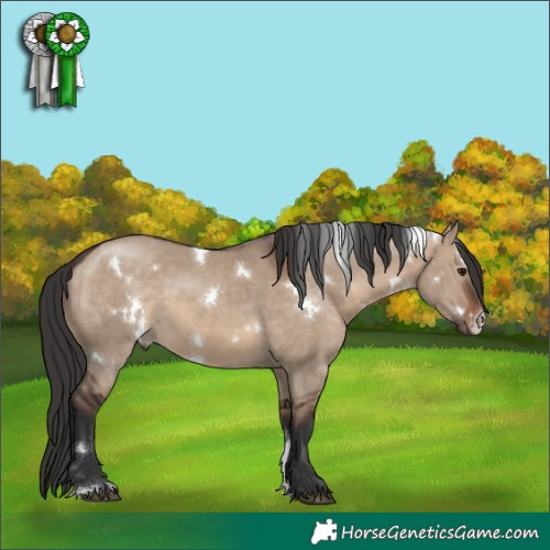 Horse Color:White Spotted Brown Dun Sabino 