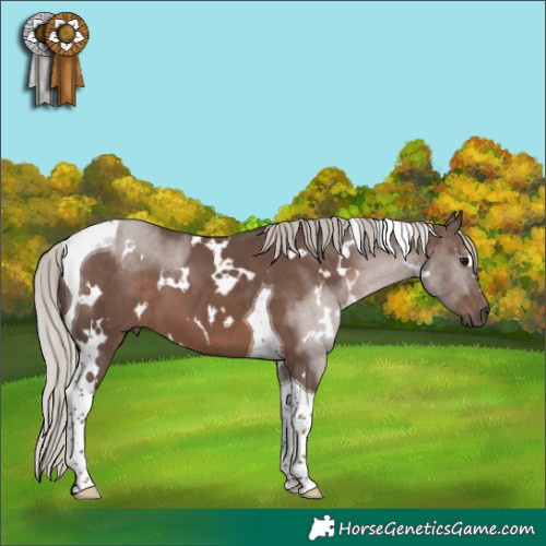 Horse Color:White Spotted Silver Black Tobiano 
