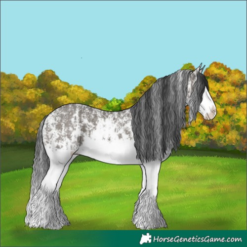 Horse Color:Grullo Sabino Splash and Grullo Sabino Splash