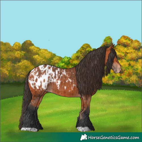 Horse Color:Bay Blanket  and Bay Blanket 