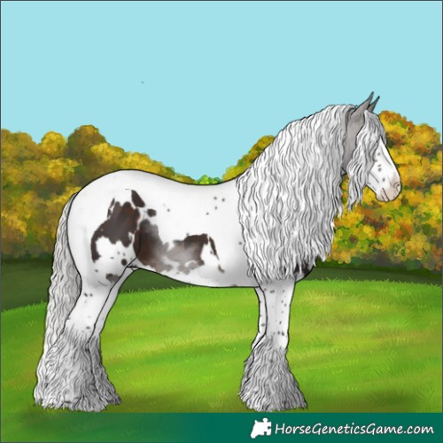 Horse Color:White Spotted Silver Brown Splash Tobiano