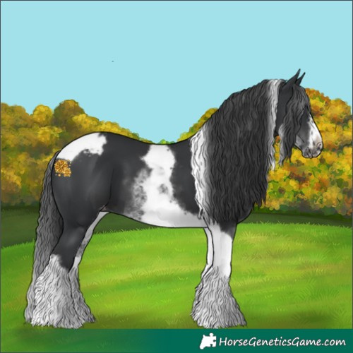 Horse Color:White Spotted Black Splash Tobiano Frame Varnish 